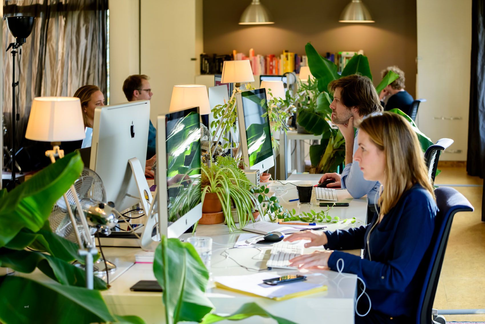 Odoo CMS - een grote afbeelding
