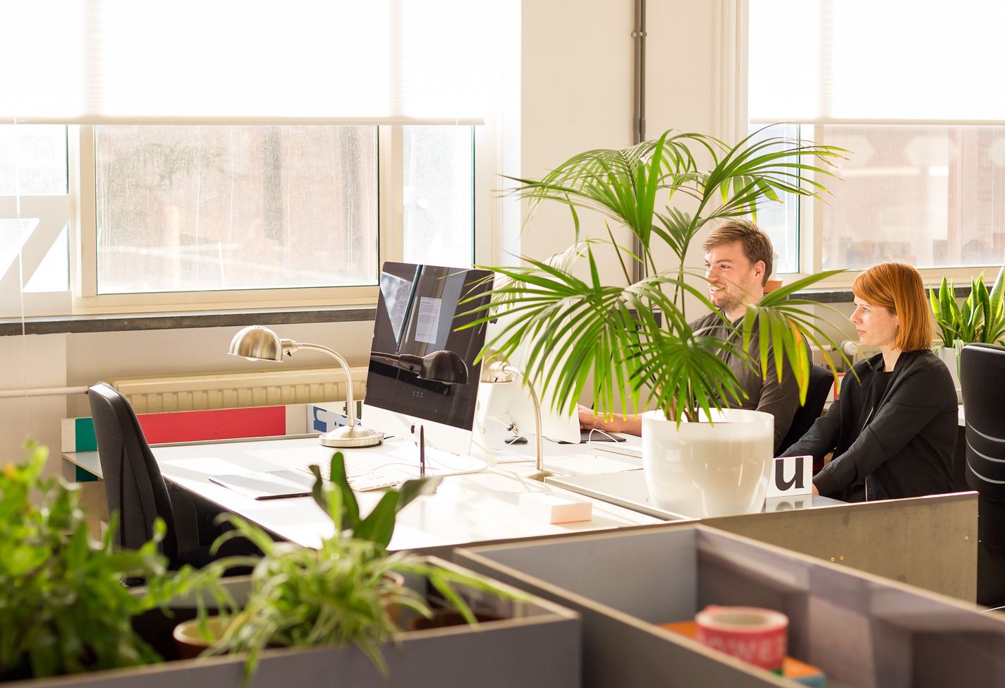Odoo CMS - een grote afbeelding