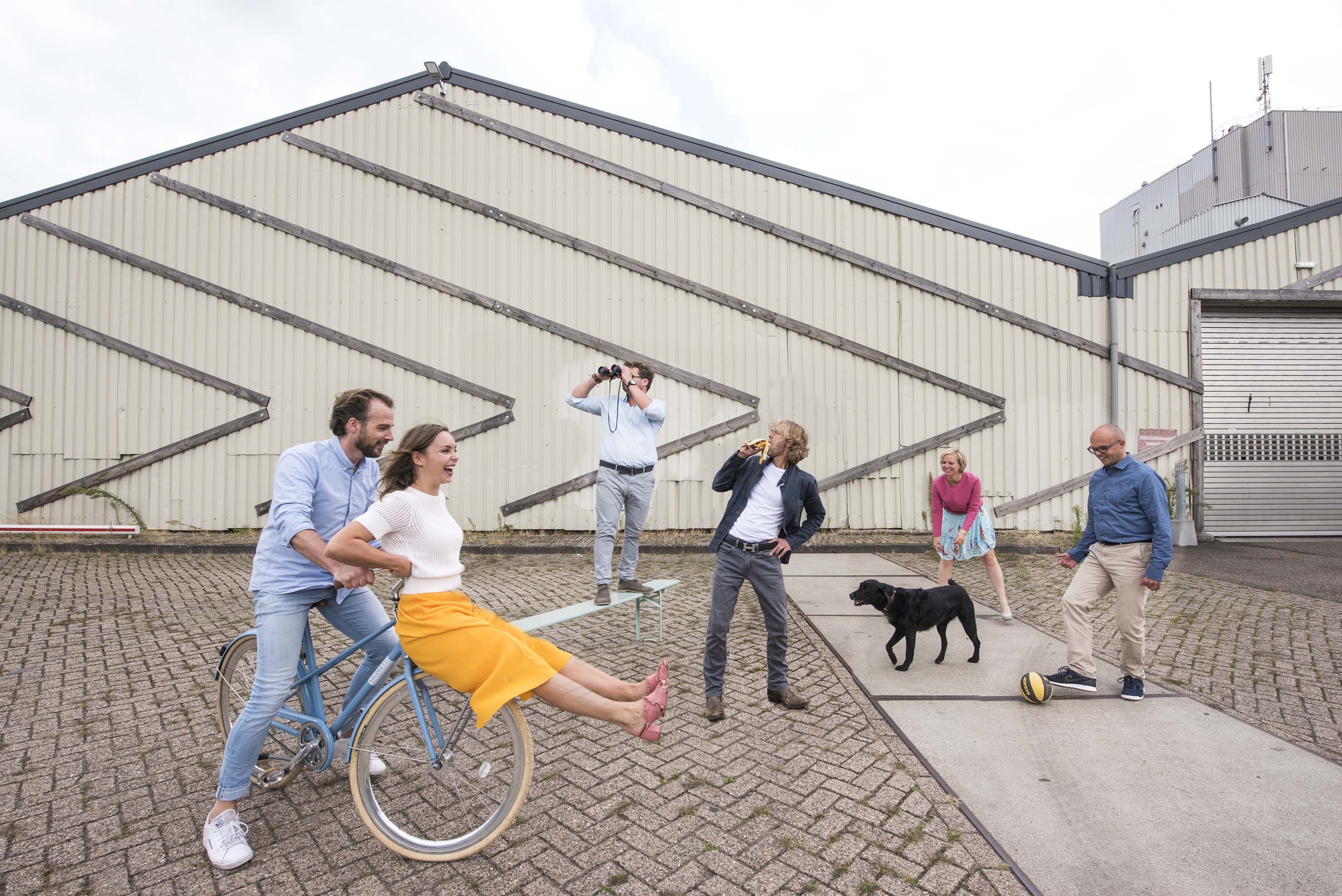 Odoo CMS - een grote afbeelding