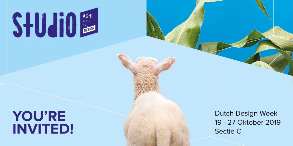 Odoo CMS - een grote afbeelding