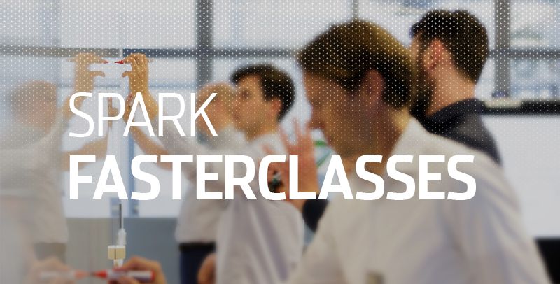 Odoo CMS - een grote afbeelding