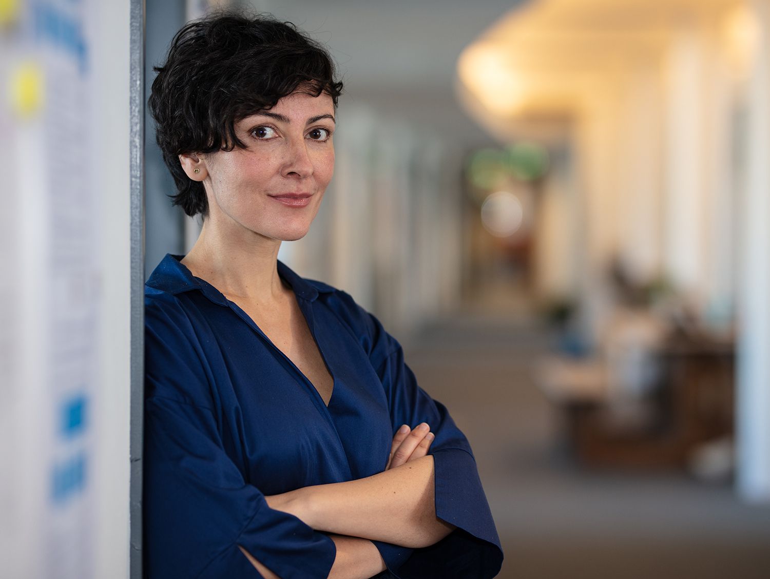 Odoo CMS - een grote afbeelding