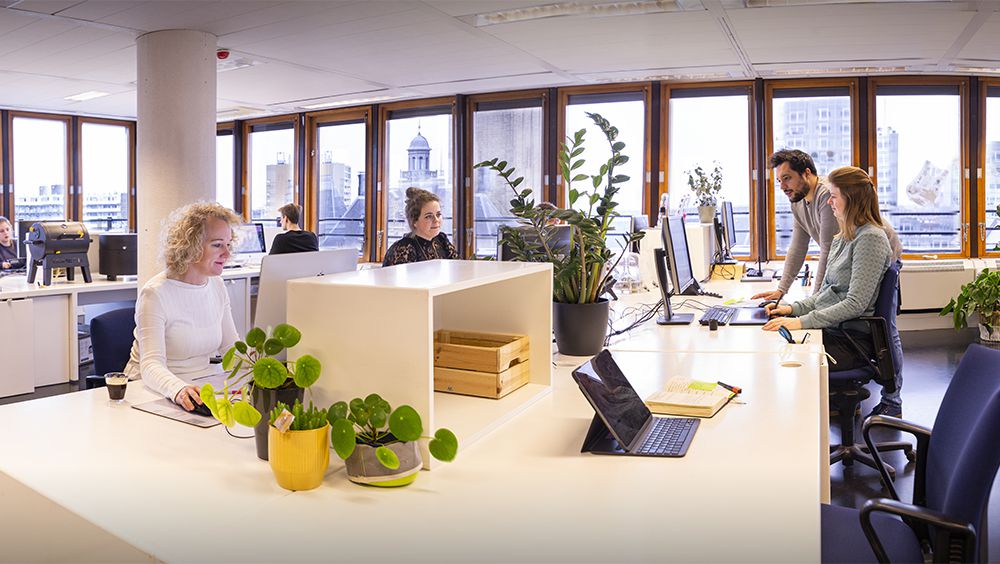 Odoo CMS - een grote afbeelding