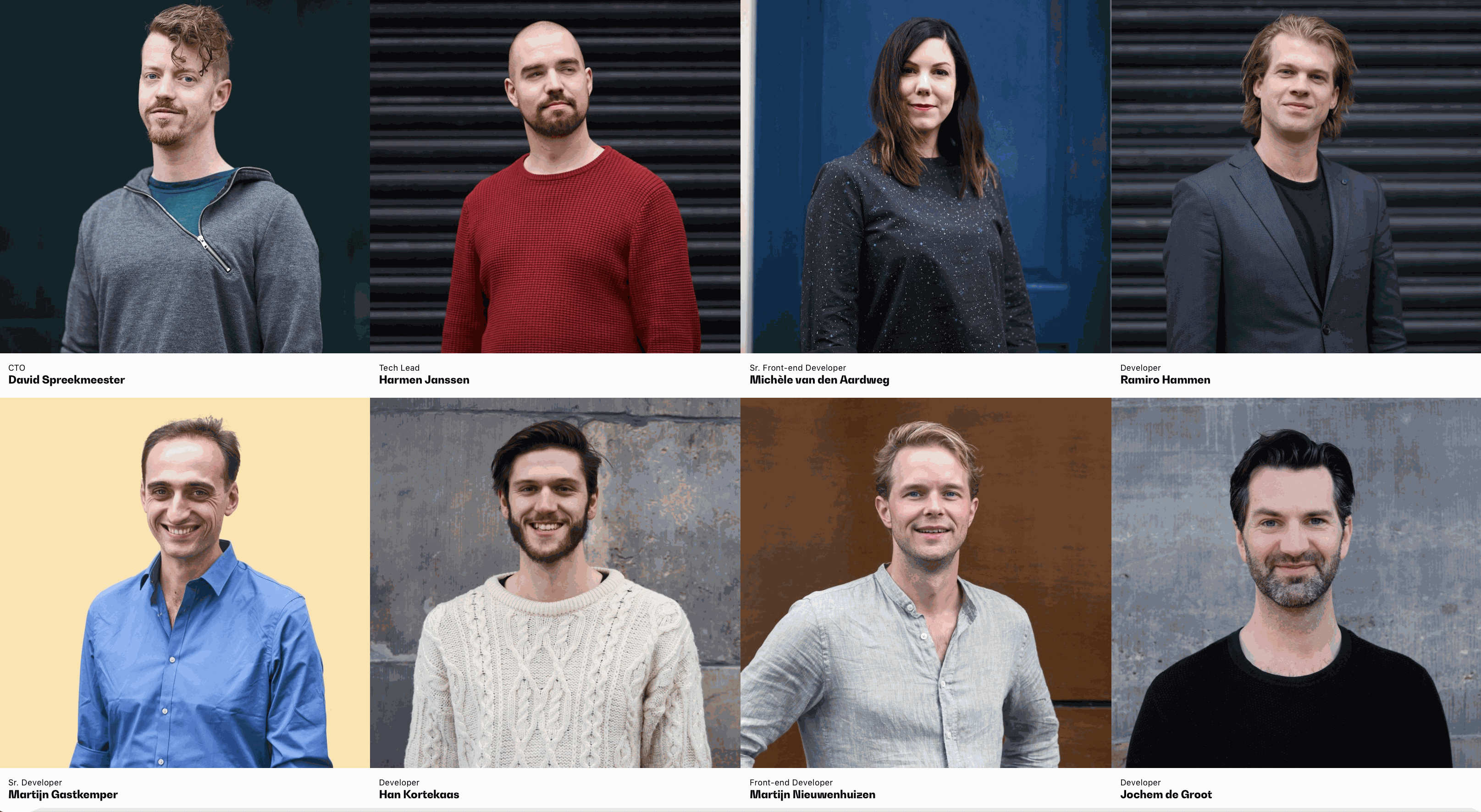 Odoo CMS - een grote afbeelding
